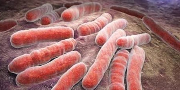 السل يتصدر الأمراض الفتّاكة و2000 مريض يتلقون استشارات في ليبيا