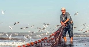 نشرة الصيد البحري المتوقعة على ساحل ليبيا اليوم الإثنين