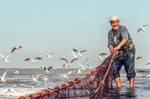 نشرة الصيد البحري المتوقعة على ساحل ليبيا اليوم الإثنين