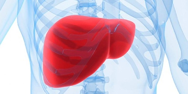 دراسة تكشف أن الكبد الدهني غير الكحولي يضاعف خطر الوفاة المبكرة