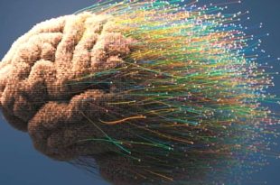 اكتشاف طبي بسيط: زيادة العضلات ودهون أقل.. وصفة لـ "دماغ أقل شيخوخةً"