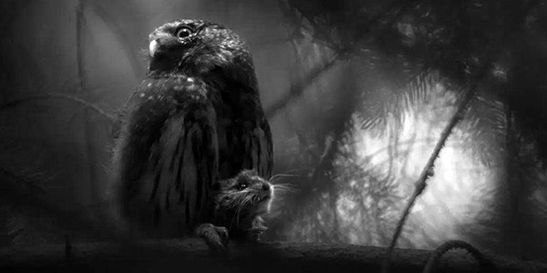 الصورة الفائزة بجائزة مصور الحياة البرية الأوروبي لعام 2025