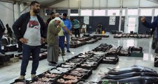 سوق الأسماك مؤشر التضخم يرفع أسعار قائمة الأسماك