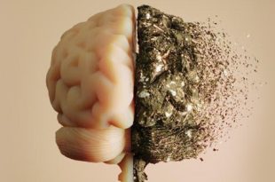 دراسة مفاجئة تؤكد.. مساعدة الآخرين تُبطئ شيخوخة الدماغ