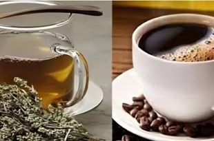 حقائق حول "خلطة الشيح والقهوة"