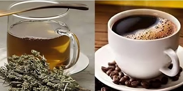 حقائق حول "خلطة الشيح والقهوة"