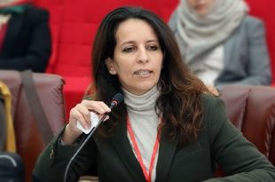 تحت مجهر النقد.. امنينه ترفض "غموض" قيود "الآداب" على إعلانات الأنشطة النسائية