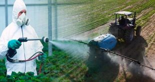 المبيدات الزراعية .. حماية للمحاصيل أم تهديد للصحة