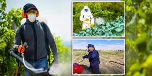 مزارعون : التعامل مع المبيدات بناء على خبرة شخصية فقط