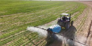 العمالة غير المؤهلة فاقمت من الاعتماد على المبيدات الزراعية