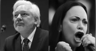 جوليان أسانج يقدّم شكوى جنائية ضد مؤسسة نوبل ويطالب بتجميد الجائزة