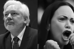 جوليان أسانج يقدّم شكوى جنائية ضد مؤسسة نوبل ويطالب بتجميد الجائزة