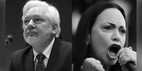 جوليان أسانج يقدّم شكوى جنائية ضد مؤسسة نوبل ويطالب بتجميد الجائزة