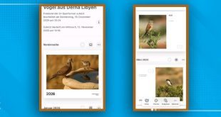 الفوتوغرافية فاطمة القرقني توثّق طيور درنة في نتيجة فنية لعام 2026