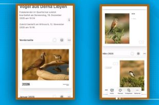 الفوتوغرافية فاطمة القرقني توثّق طيور درنة في نتيجة فنية لعام 2026