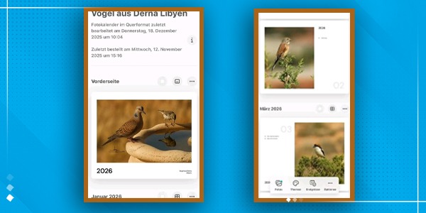 الفوتوغرافية فاطمة القرقني توثّق طيور درنة في نتيجة فنية لعام 2026