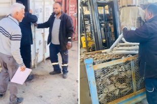 بدء صرف معدات ربط محطة الحبايبية بجهد 220 ك.ف