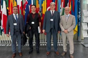 المنظمة العربية لحقوق الإنسان تحذر من استمرار المجاعة في غزة