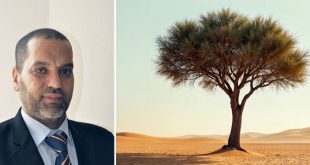 رئيس المنظمة الليبية للبيئة: مستقبل ليبيا البيئي مهدد بقوة