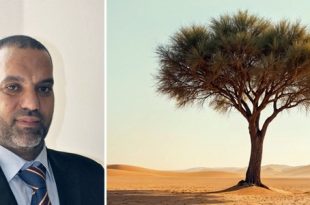 رئيس المنظمة الليبية للبيئة: مستقبل ليبيا البيئي مهدد بقوة