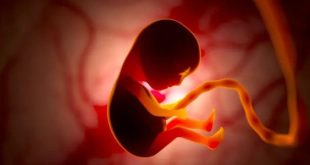 الذكاء الاصطناعي يحسن رصد مشاكل القلب عند الأجنة