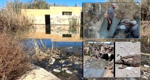 تلوث مياه الصرف الصحي.. أزمة تتكرر وحلول مؤجلة