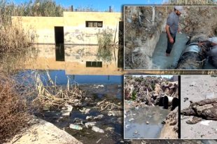 تلوث مياه الصرف الصحي.. أزمة تتكرر وحلول مؤجلة