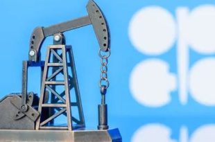 أوبك+  تتحصن أمام مقامرة ترامب الكبرى في فنزويلا 