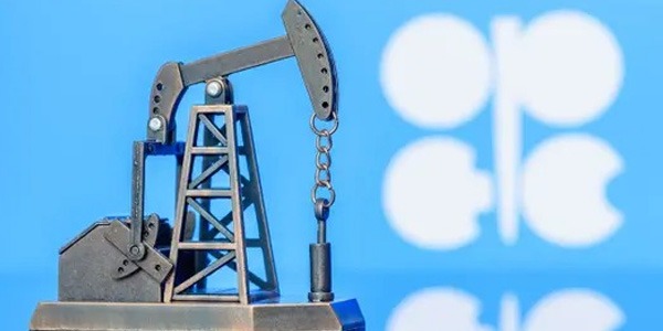 أوبك+  تتحصن أمام مقامرة ترامب الكبرى في فنزويلا 