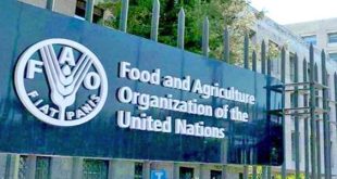 الفاو تحذر من خطر الصقيع والجفاف على الزراعة في اليمن