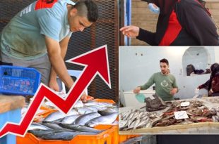 الاسماك ..الغائب الاكبر عن الموائد الليبية