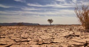 الجنوب الليبي.. مخاطر تغيّر المناخ والمهاجرين