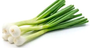 لماذا   البصل   هو سلاحك لمواجهة أمراض الشتاء ؟