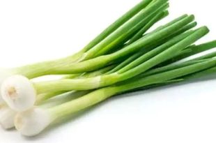 لماذا   البصل   هو سلاحك لمواجهة أمراض الشتاء ؟