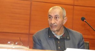   الأبجدية الليبية: فك شفرة التاريخ المنسي في "قلب" هرم خوفو