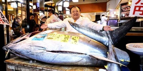 سعر قياسي لسمكة تونة زرقاء باليابان