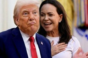 معهد نوبل يؤكد: جائزة السلام لا يمكن نقلها أو مشاركتها بعد منحها