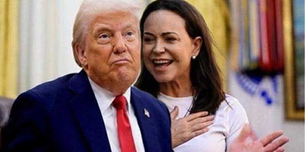 معهد نوبل يؤكد: جائزة السلام لا يمكن نقلها أو مشاركتها بعد منحها