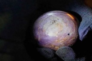 خبراء في سريلانكا يكشفون عن أكبر ياقوتة في العالم