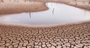 "الإفلاس المائي أزمة استدامة تهدد مستقبل الموارد المائية العالمية"