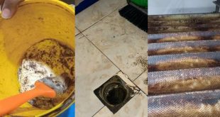 المخالفات الصحية