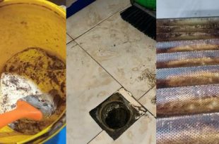 المخالفات الصحية