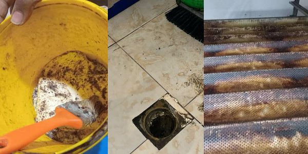 المخالفات الصحية