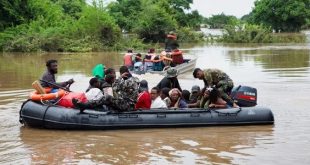 الفيضانات في موزمبيق تدفع التماسيح إلى المدن وتخلف وفيات