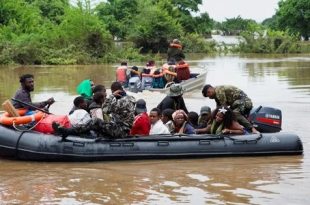 الفيضانات في موزمبيق تدفع التماسيح إلى المدن وتخلف وفيات