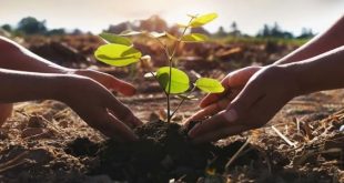 السعودية تطلق الدورة الثانية للمجلس الوزاري لمبادرة الشرق الأوسط الأخضر