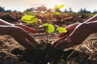 السعودية تطلق الدورة الثانية للمجلس الوزاري لمبادرة الشرق الأوسط الأخضر