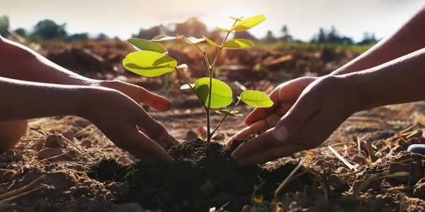 السعودية تطلق الدورة الثانية للمجلس الوزاري لمبادرة الشرق الأوسط الأخضر