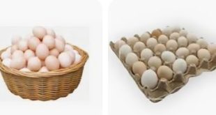 هل يستحق "البيض البلدي" فارق السعر؟