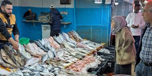 ارتفاع تكاليف النقل والعمالة تزيد العبء على التاجر والمستهلك